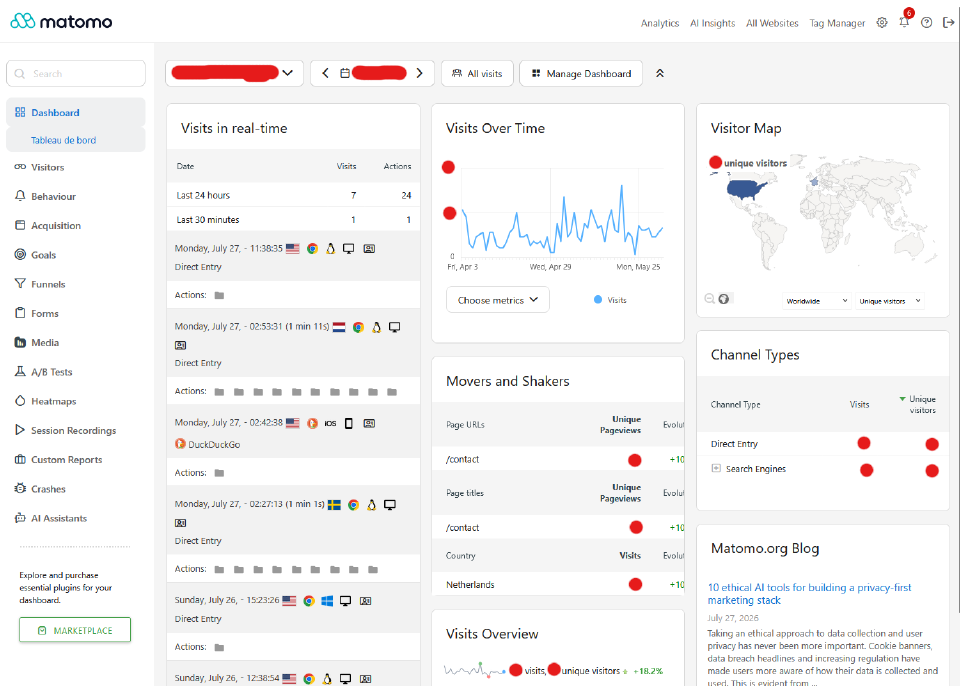 Overview of the Matomo dashboard