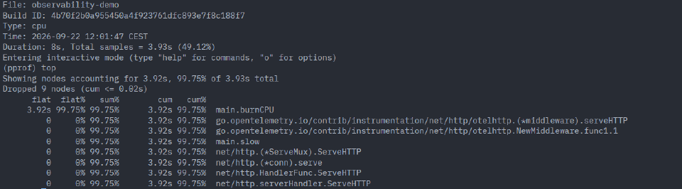 La commande top de pprof montre burnCPU en tête des échantillons CPU.